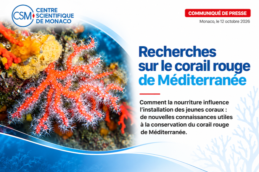 Recherches sur le corail rouge de Méditerranée